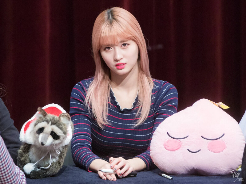 Momo797.jpg