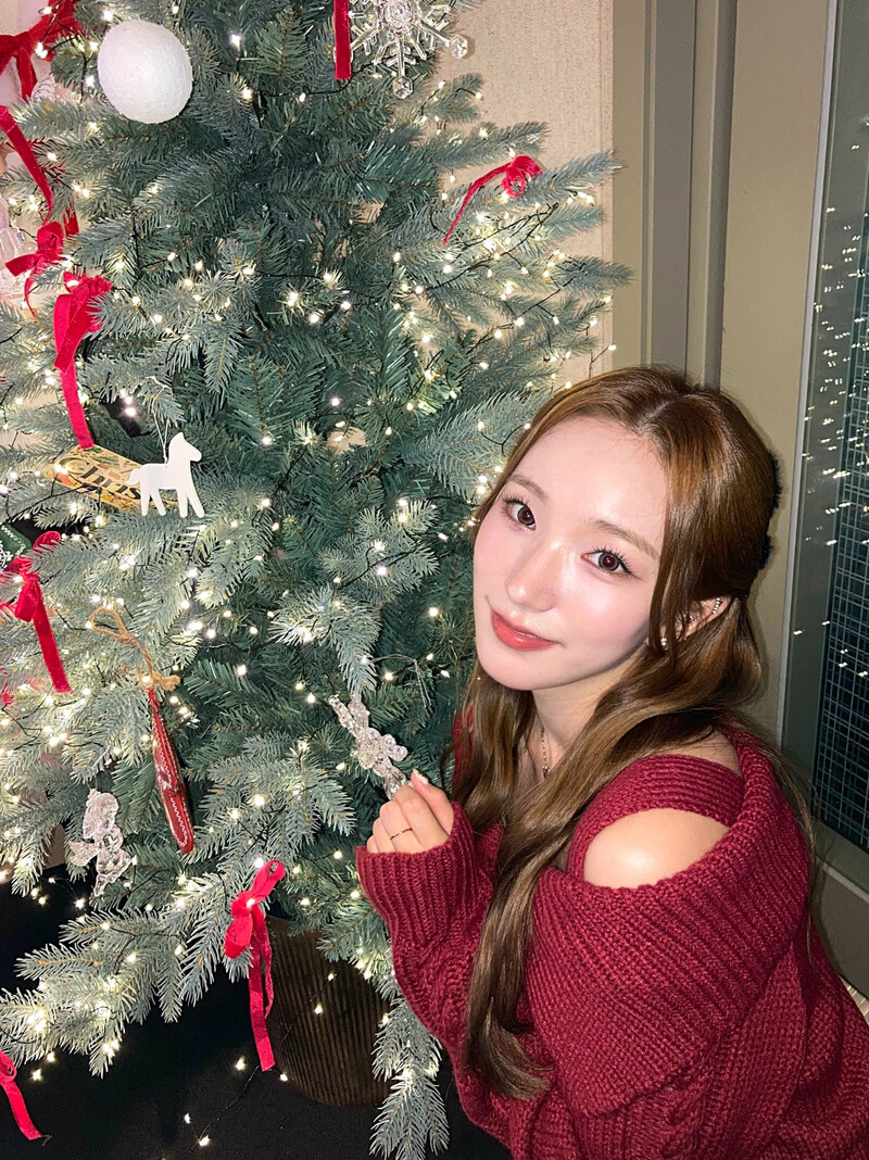 241225 - Geenius Members Twitter Update with SION documents 2