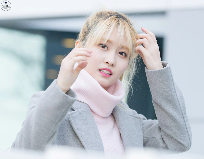 Momo370.jpg