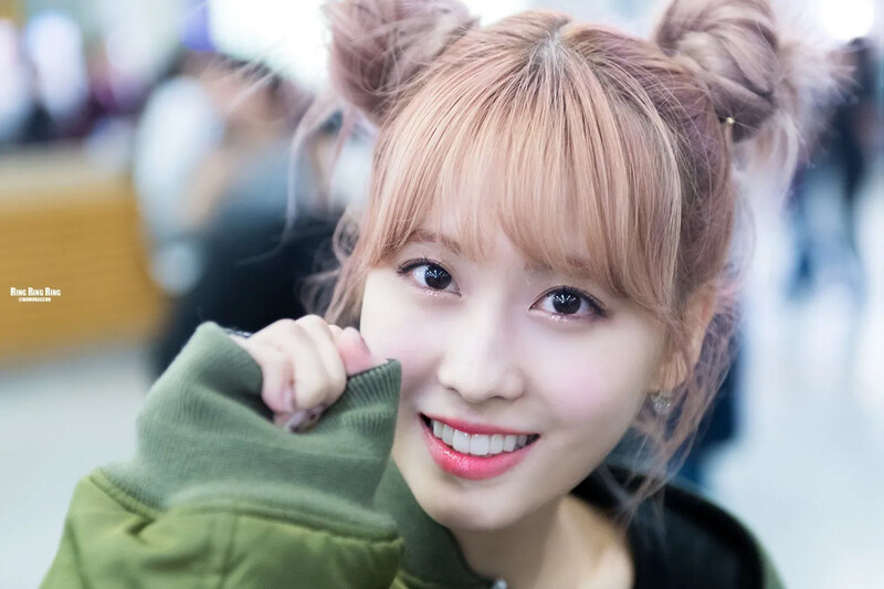 Momo480.jpg