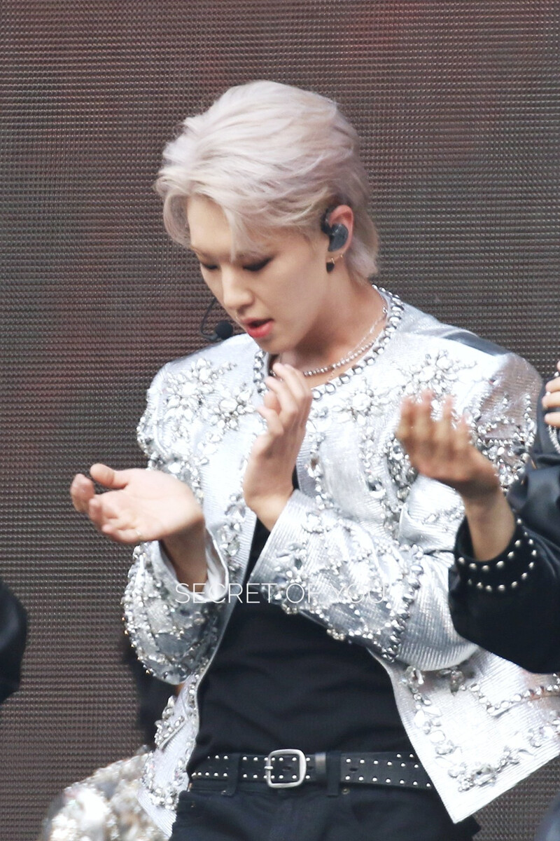 240428 SEVENTEEN Hoshi - 'FOLLOW' AGAIN Seoul Day 2 documents 13