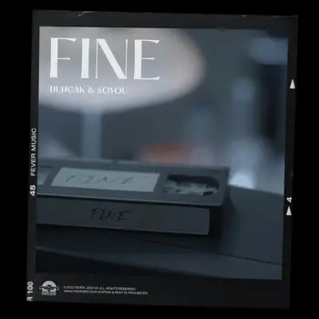 Fine (with Soyou)