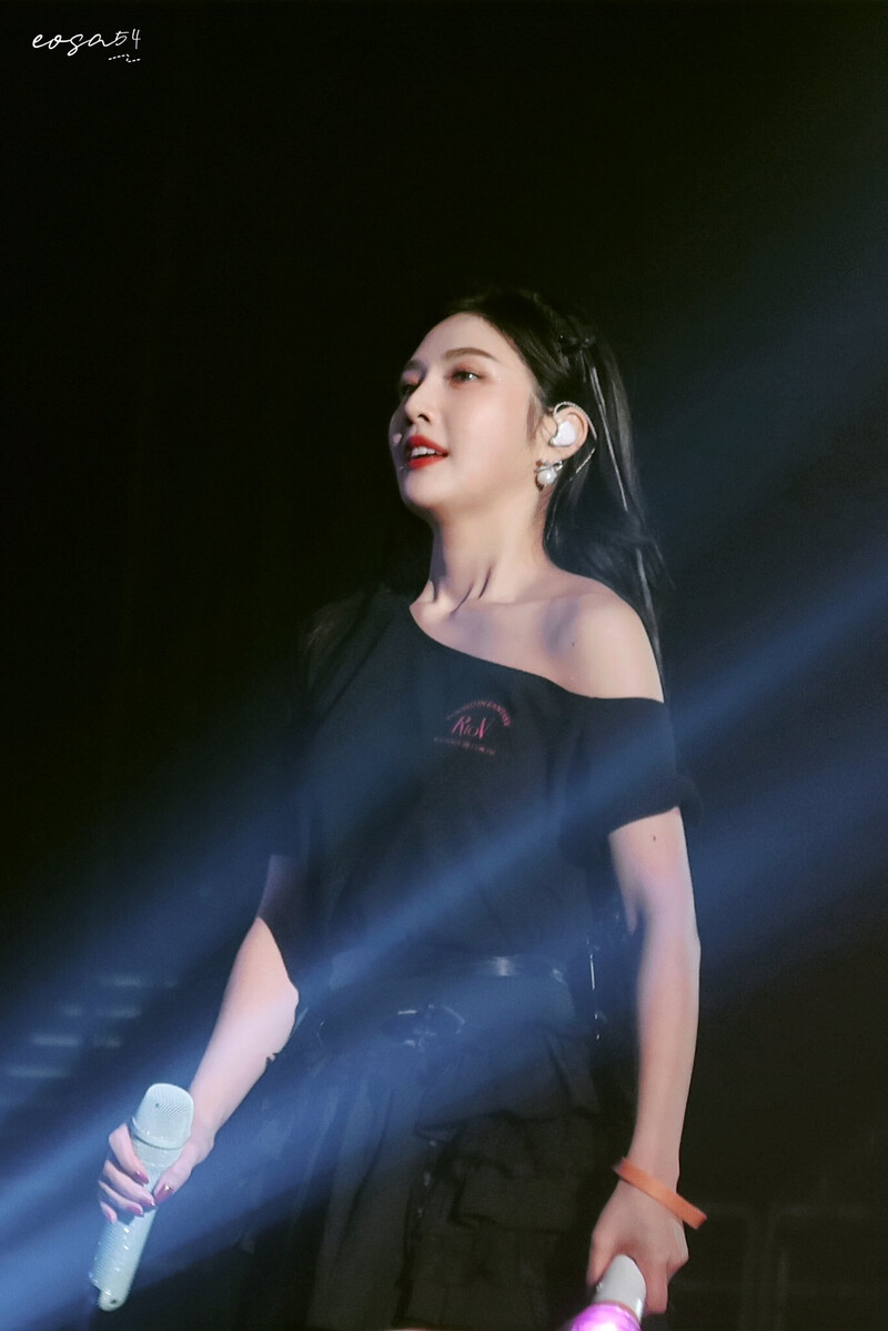 230401 Red Velvet Joy - 'R to V' Concert in Seoul Day 1 documents 2