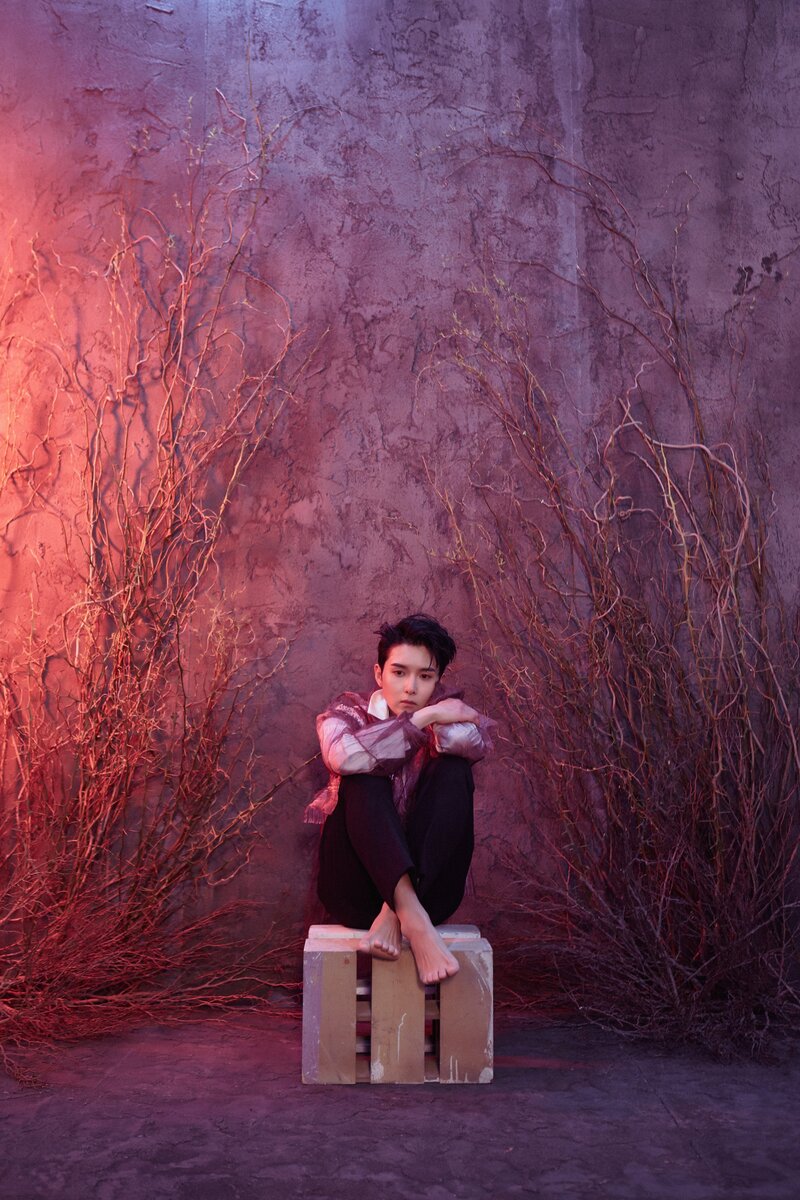 Ryeowook - 'A Wild Rose' Concept Teaser Images documents 21