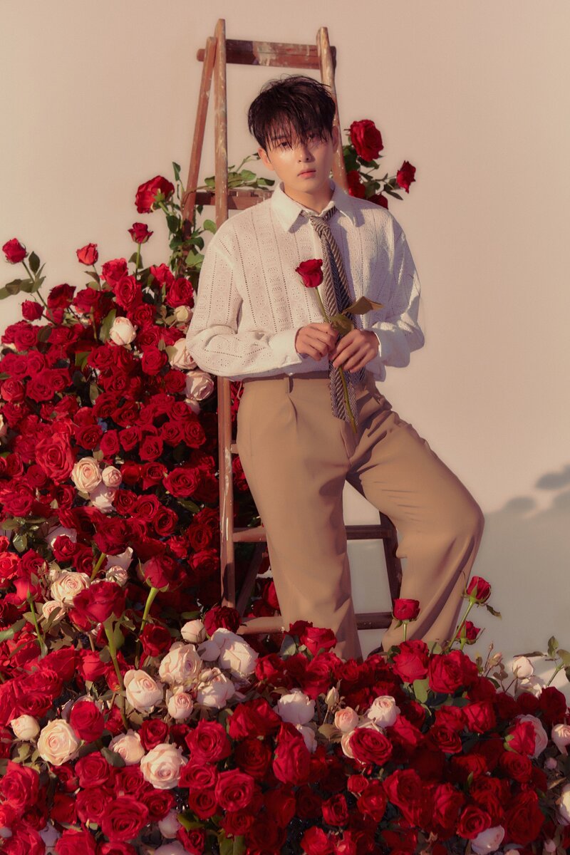 Ryeowook - 'A Wild Rose' Concept Teaser Images documents 5