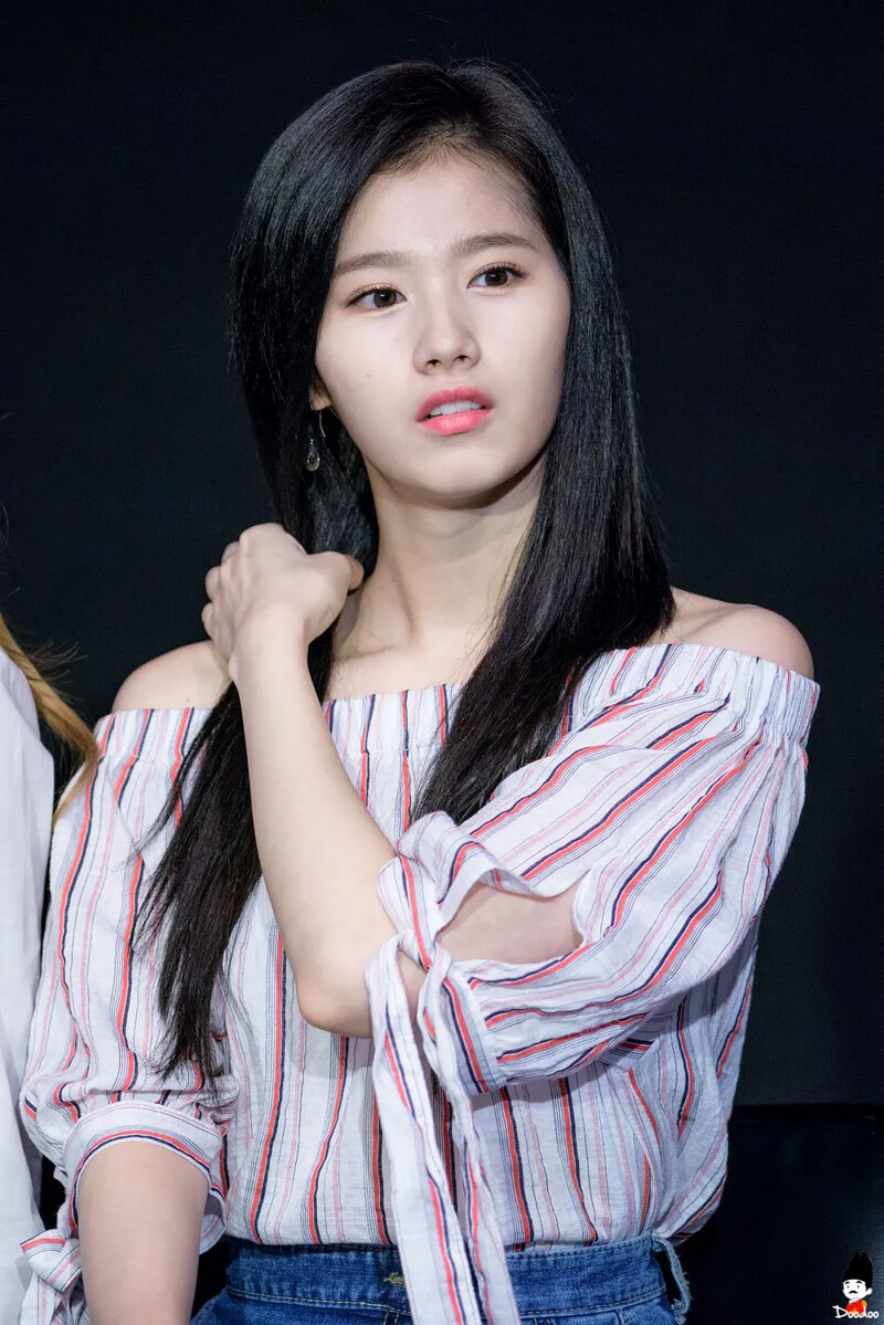 Sana329.jpg