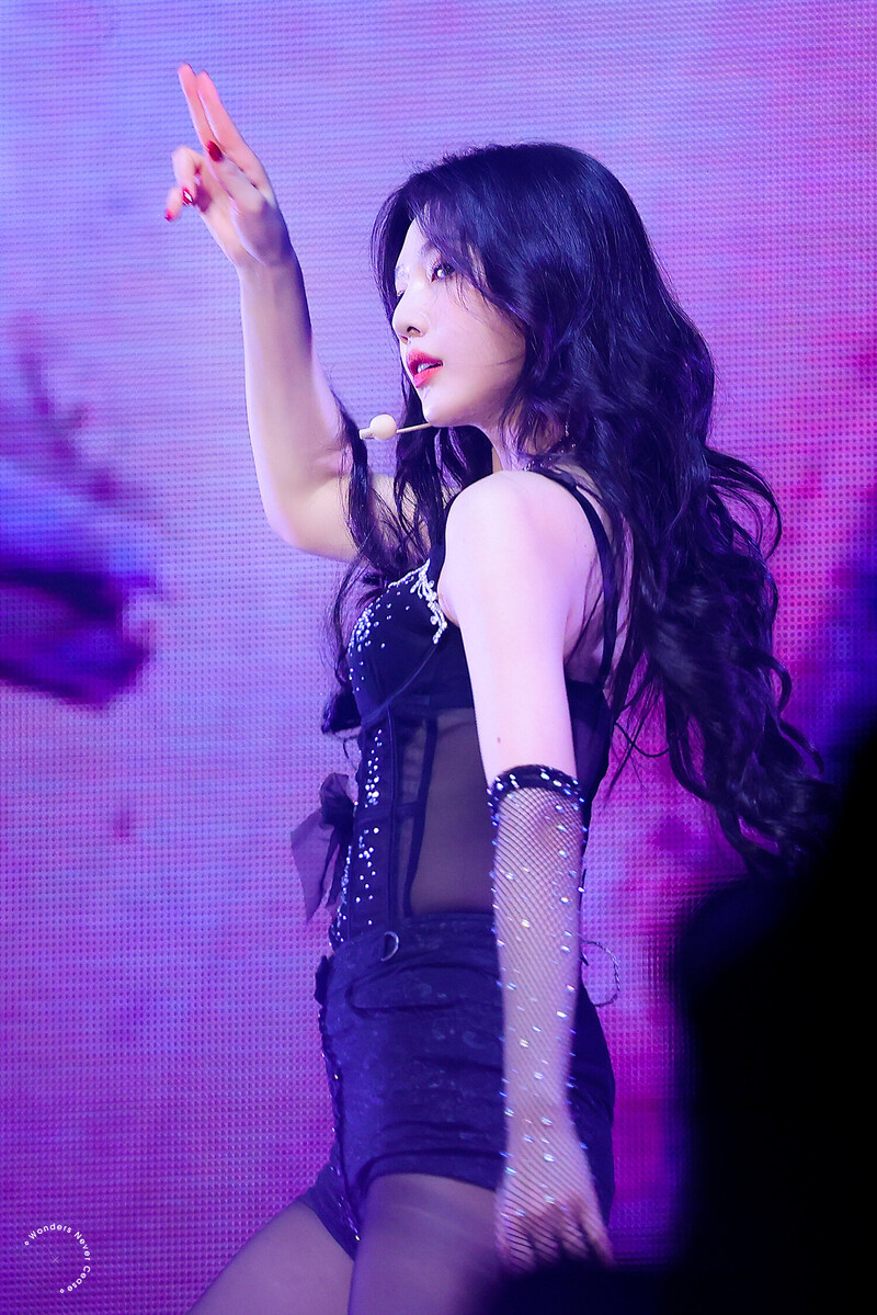 230402 Red Velvet Joy - 'R to V' Concert in Seoul Day 2 documents 3