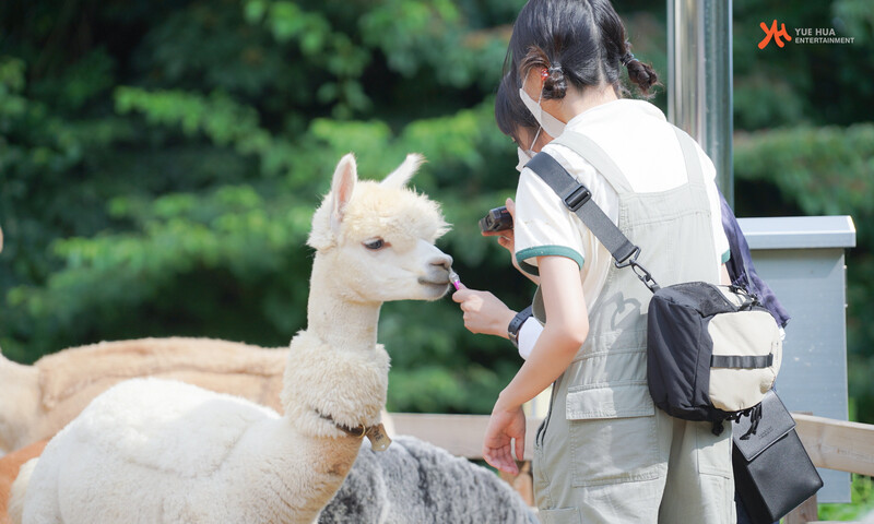 210908 Yuehua Naver Post - Yena & Yuri on Yena's Animal Detective documents 6