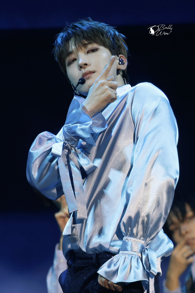 240723 SEVENTEEN Wonwoo - CARATLAND 2024 Day 1 documents 11