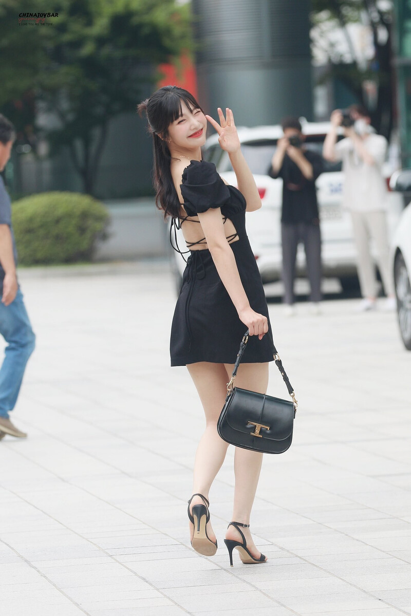 220706 Red Velvet Joy - 'Animal Farm' Commute documents 6