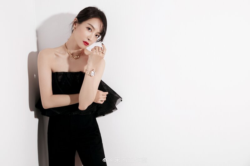 Victoria for Cartier Limitless Party Night documents 2