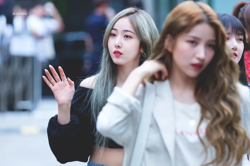 SinB1491.jpg