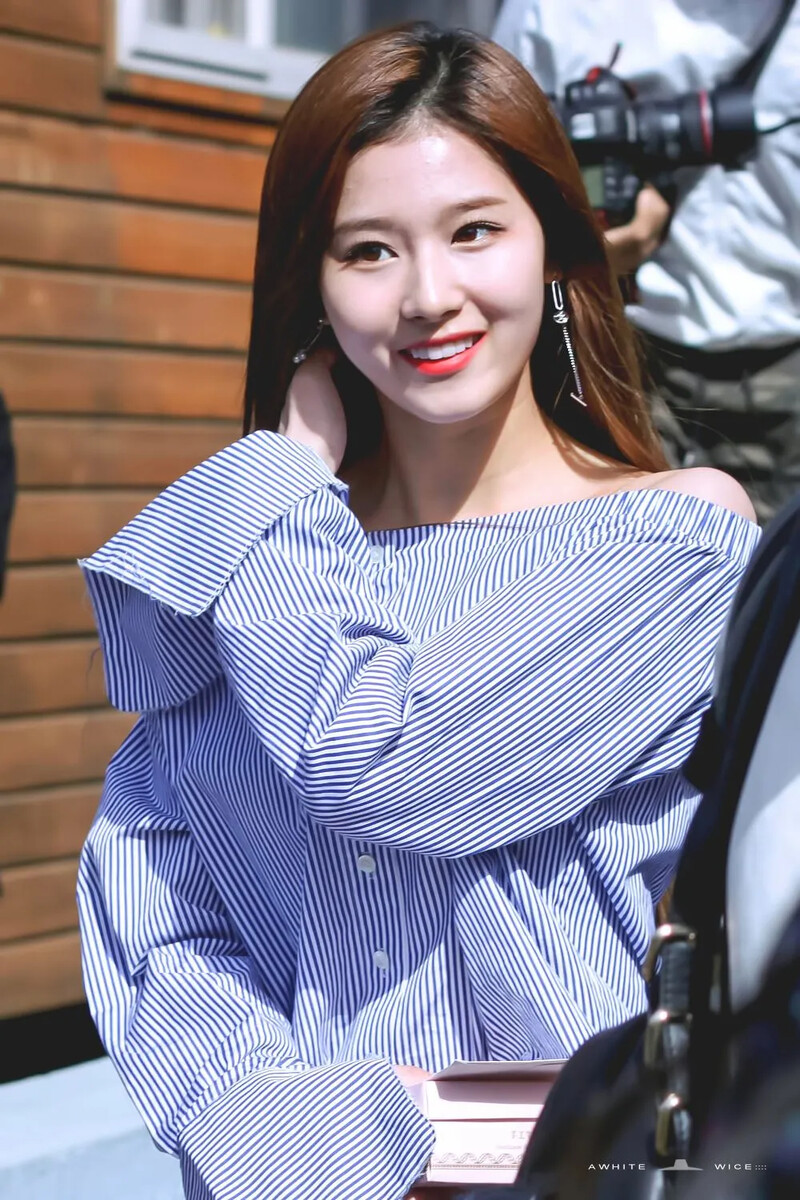 Sana1100.jpg