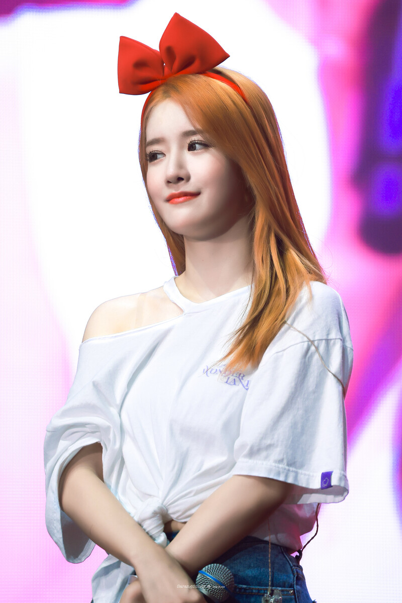 220612 WJSN Exy documents 5