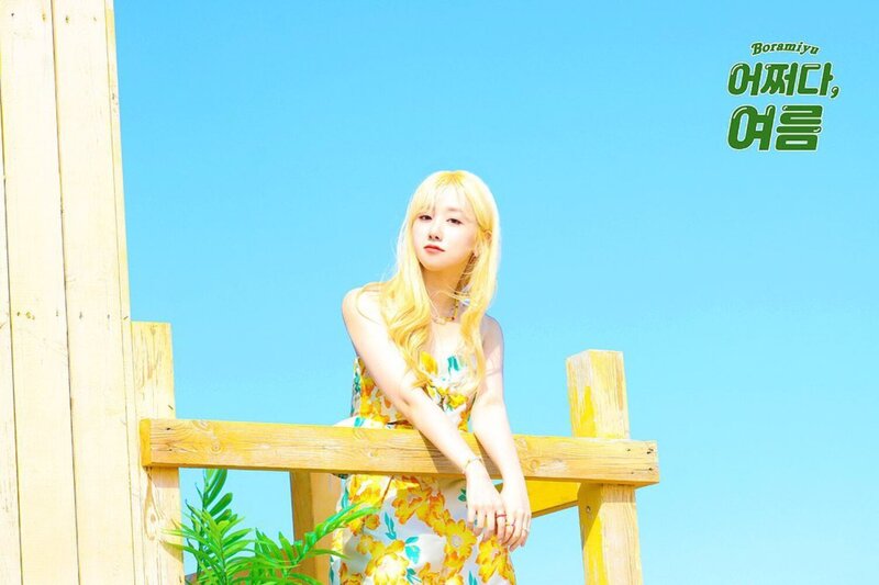 Boramiyu - Like Summer 4th Digital Single teasers documents 3