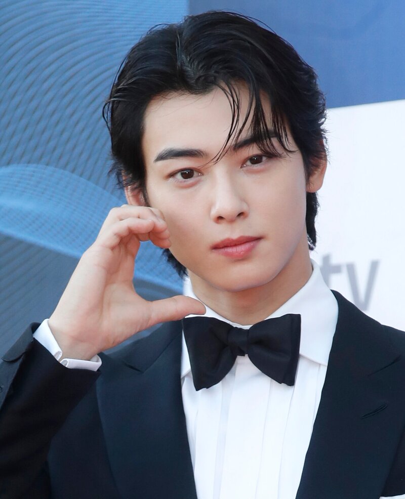 230719 Cha Eunwoo at the 2nd Blue Dragon Series Awards Red Carpet documents 1