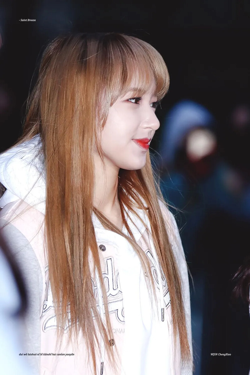 ChengXiao432.JPG