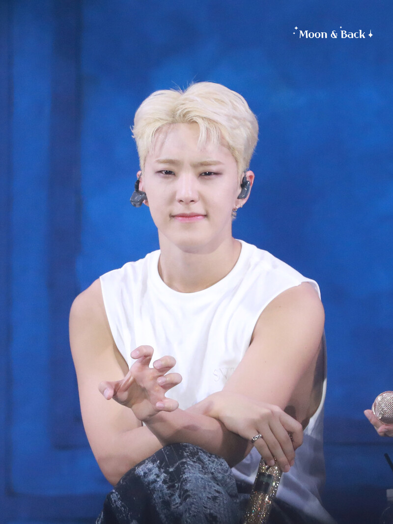 240724 SEVENTEEN Hoshi - CARATLAND 2024 Day 2 documents 5