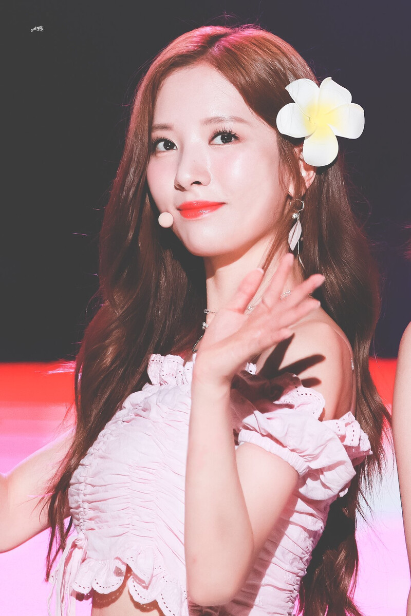 190722 WJSN Bona documents 15