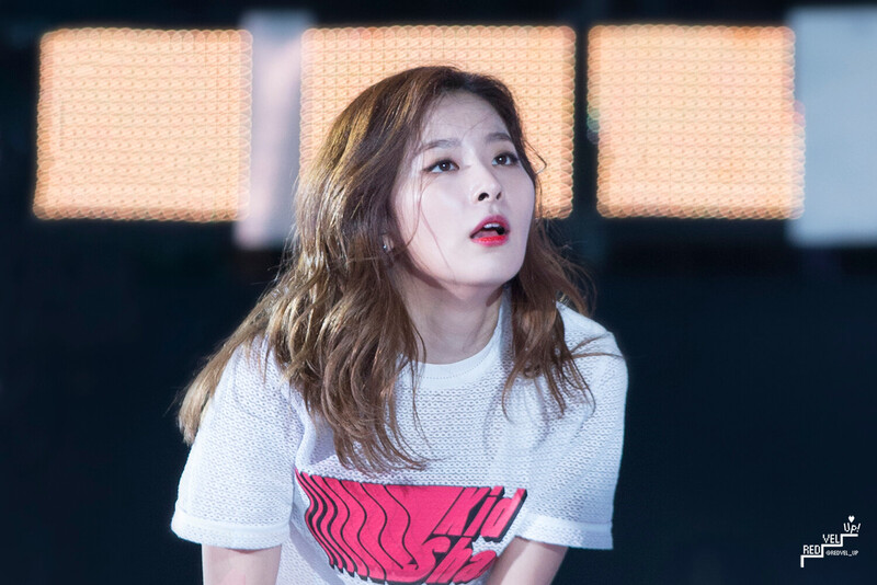 160618 Red Velvet Seulgi documents 23