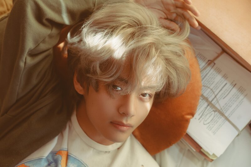 V - 'Layover' Concept Photo documents 13