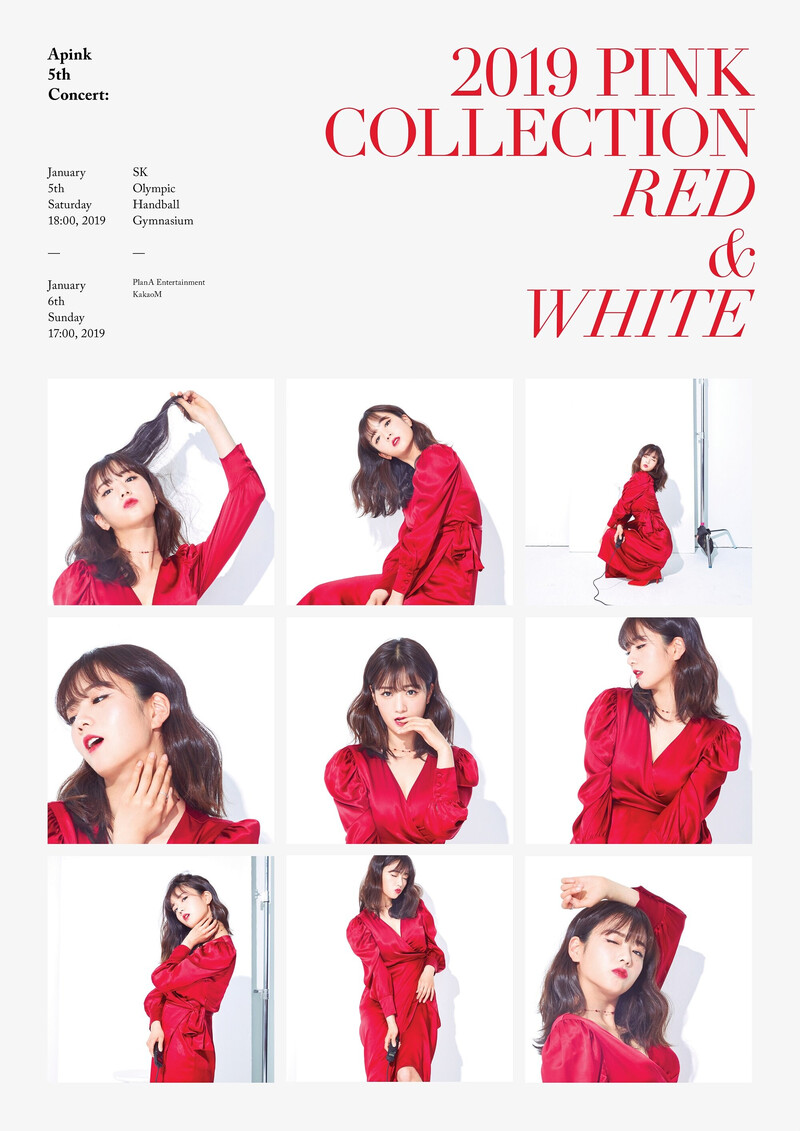 APINK 5th Concert - 2019 PINK COLLECTION : RED & WHITE - Posters & Behind documents 3