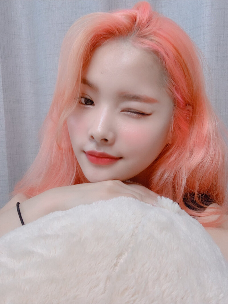 190625 Rina Twitter update documents 1