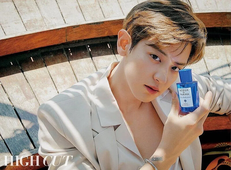 chanyeolxaquadiparmaforhighcut2020march (2).jpg