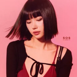 SOS (feat. NSW Yoon)