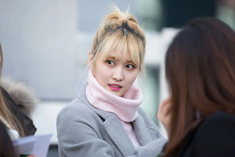 Momo423.jpg