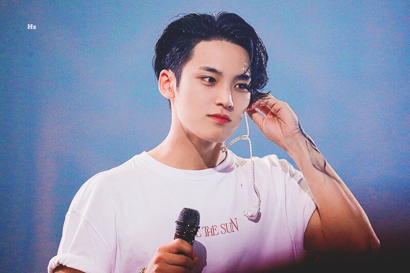 220626 SEVENTEEN Mingyu at “BE THE SUN” World Tour 2022 in Seoul Day2 documents 14