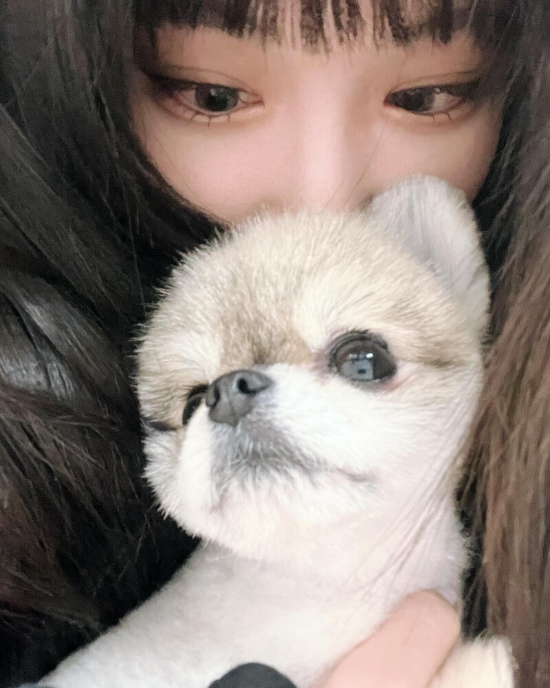 231124 Chungha Instagram Update documents 5