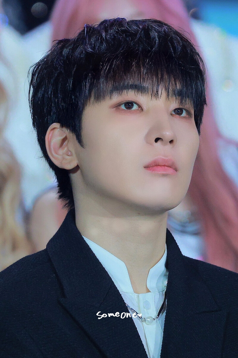 250105 SEVENTEEN Wonwoo at Golden Disk Awards 2025 documents 4