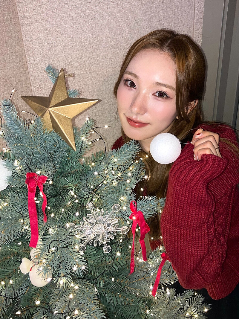 241225 - Geenius Members Twitter Update with SION documents 7