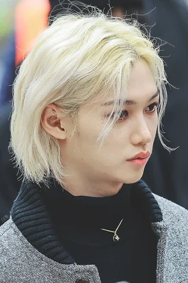 Felix (Stray Kids) profile, age & facts (2023 updated) | kpopping