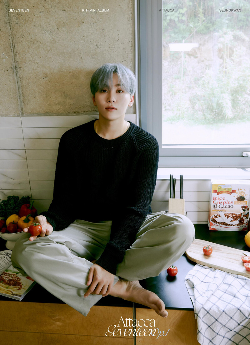 SEVENTEEN 9th Mini Album 'Attacca' Official Photo documents 2