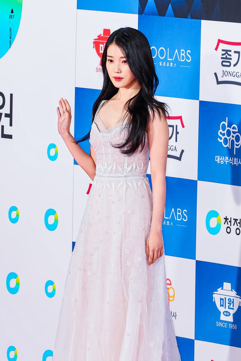 221125 IU at 43rd Blue Dragon Film Awards Red Carpet documents 13