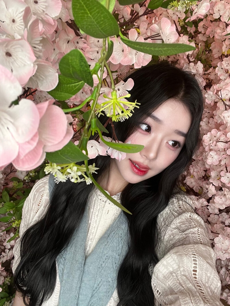 240725 tripleS Instagram & Twitter Update - Chaeyeon documents 2