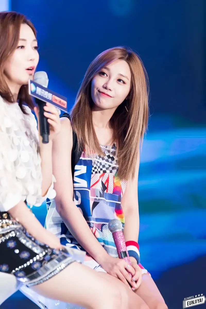 Apink_150720_ejya.tistory.com-672_014.jpg