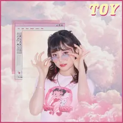 Toy