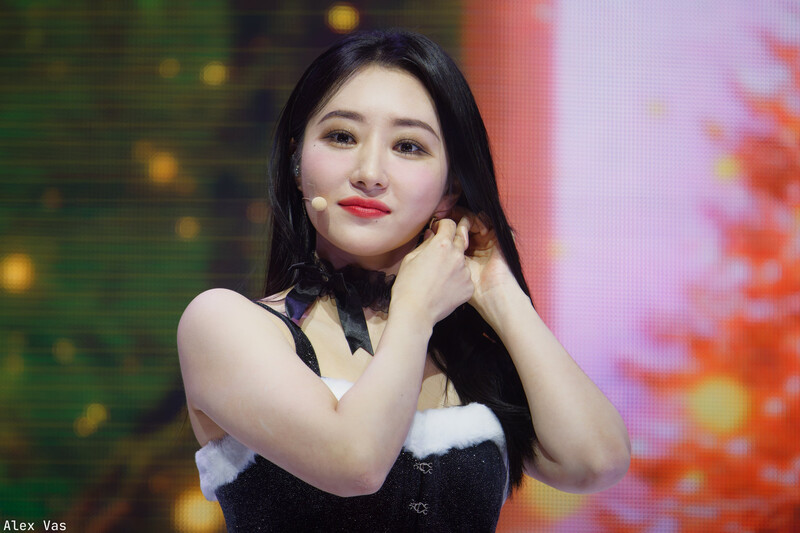 241224 Dreamcatcher SuA - '7 Doors of Christmas: A Lucky Encore' in Seoul Day 1 documents 2