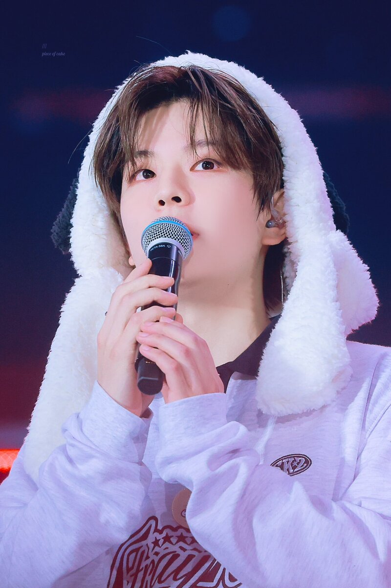 231022 Stray Kids Seungmin - 5-STAR Dome Tour 2023 Seoul Special (UNVEIL 13) Day 2 documents 25