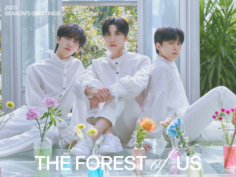 ONEUS 2023 Seasons greetings 'The Forest of US' teaser photos documents 4