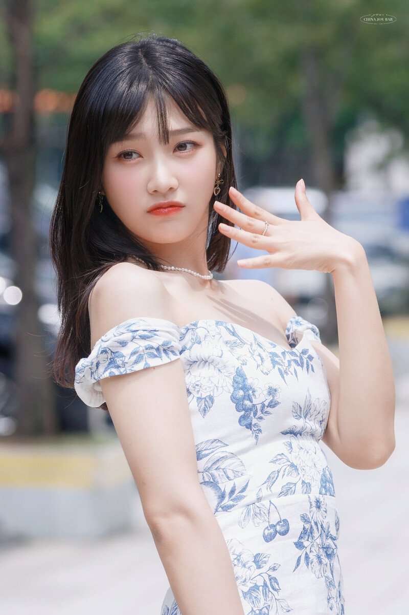 220720 Red Velvet Joy - 'Animal Farm' Commute documents 9