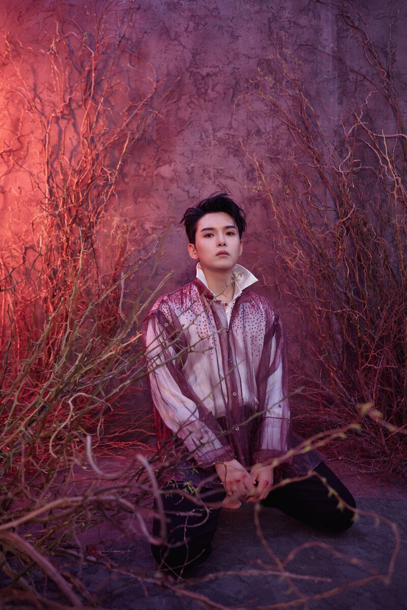 Ryeowook - 'A Wild Rose' Concept Teaser Images documents 7