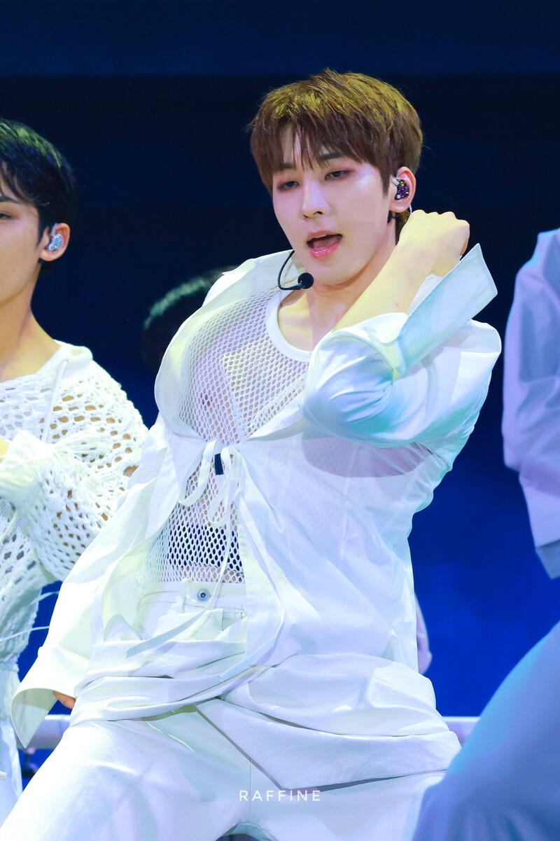 240723 SEVENTEEN Wonwoo - CARATLAND 2024 Day 1 documents 23