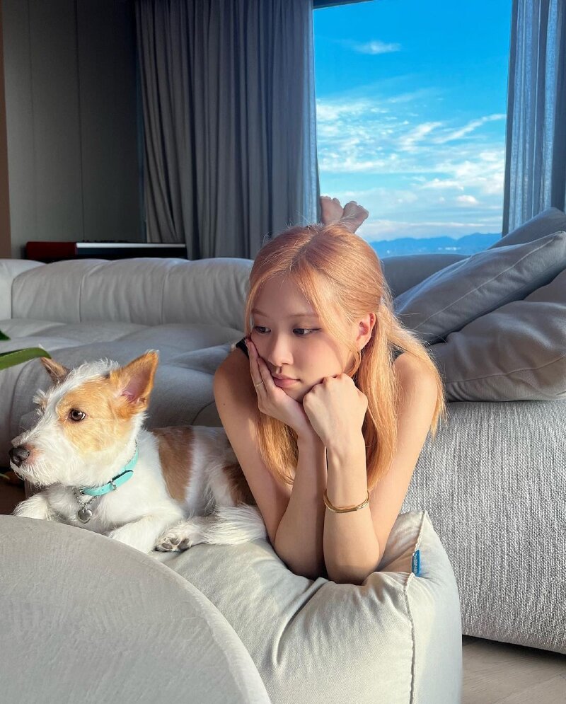 BLACKPINK Rosé's Chuseok Greetings With Rescue Dog Hank Melts Hearts!