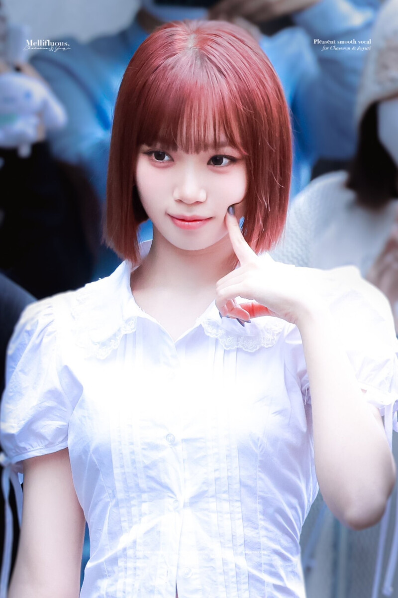 240906 LE SSERAFIM Chaewon - Music Bank Mini Fan Meeting & Commute documents 5