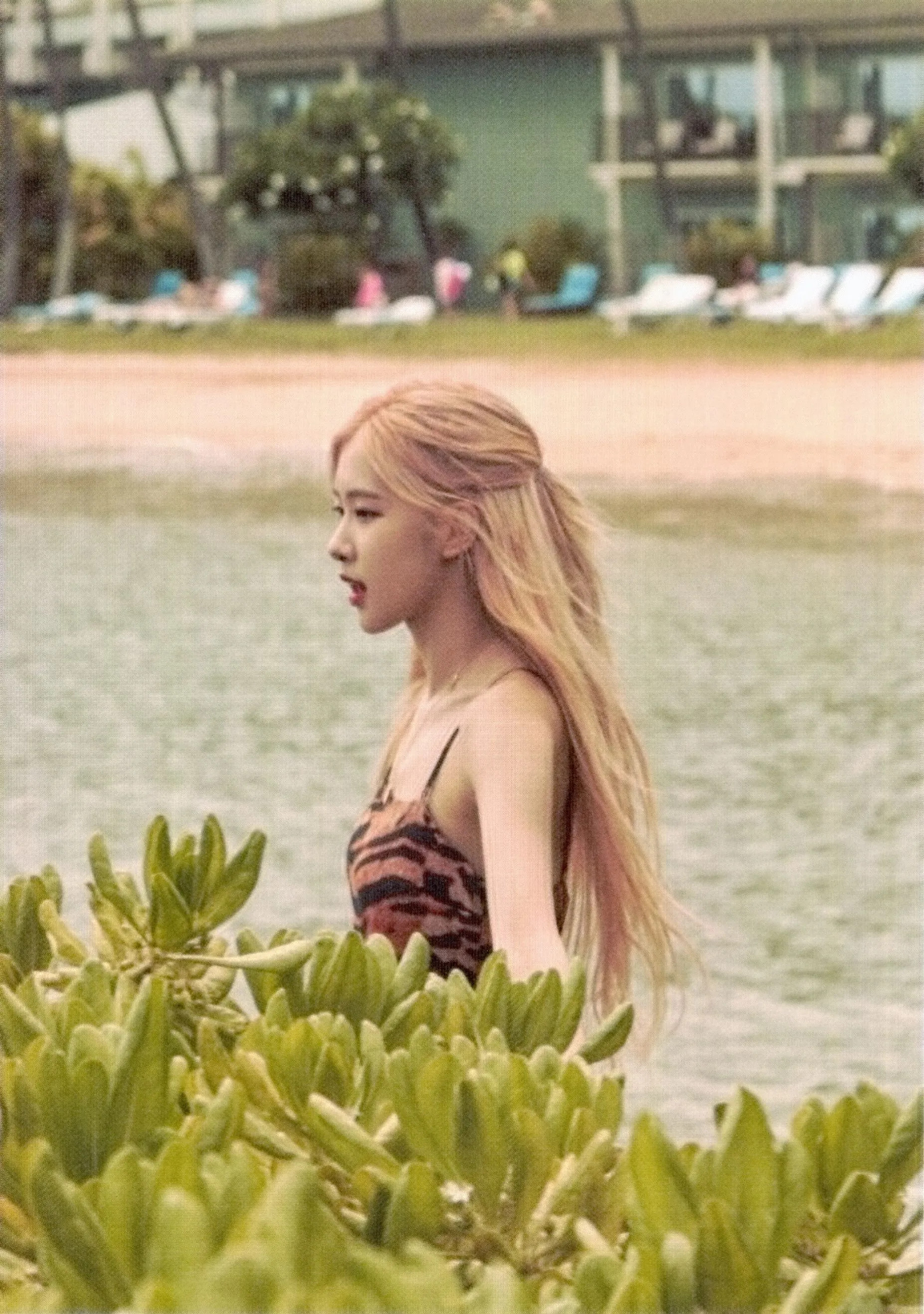 SCAN] 2019 BLACKPINK Summer Diary in Hawaii - Rose | kpopping