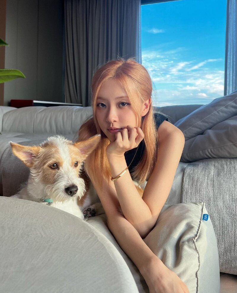 BLACKPINK Rosé's Chuseok Greetings With Rescue Dog Hank Melts Hearts!